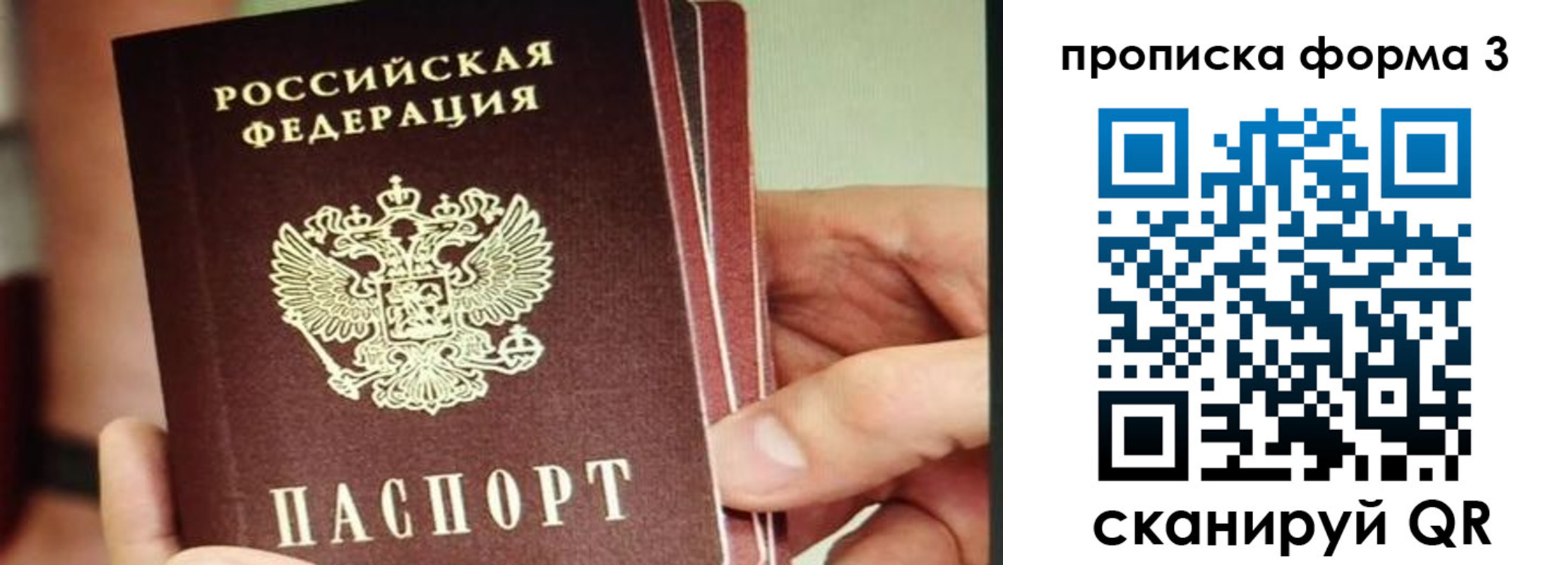 прописка законно в Зее